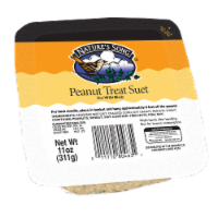 Nature's Song® Peanut Treat Suet Perspective: Main