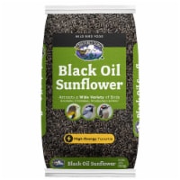 Audubon Park® Black Oil Sunflower Seed Wild Bird Food