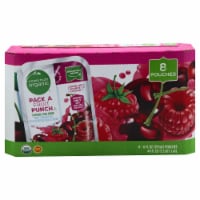 Simple Truth Organic® Pack A Fruit Punch Flavored Juice Pouches Perspective: Main