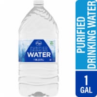 Kroger® Purified Drinking Bottled Water, 12 bottles / 16.9 fl oz - Kroger