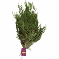 Bloom Haus® Western Cedar Boughs