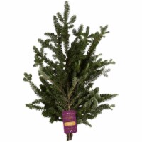 BLOOM HAUS™ Fraser Fir Boughs