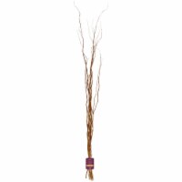 Bloom Haus Curly Willow Bunch Perspective: Main