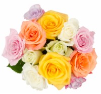 Bloom Haus Rainbow Assorted Roses Perspective: Main