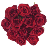 Bloom Haus™ Dozen Rose Bunch - Red