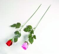 Single Rose Perspective: front