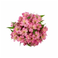 Bloom Haus Alstroemeria Bunch