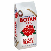 BOTAN RCE-10LB Perspective: Main