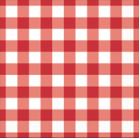Unique Red & White Gingham Napkins Perspective: Main