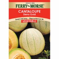 Ferry-Morse Sierra Gold Cantaloupe Seeds Perspective: Main