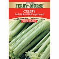 Ferry-Morse Tall Utah 5270R Improved Celery Seeds Perspective: Main