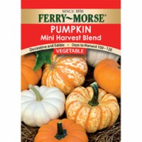 Ferry-Morse Mini Harvest Pumpkin Blend Seeds Perspective: Main