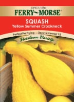 Ferry-Morse Yellow Summer Crookneck Squash Seeds