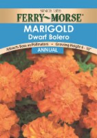 Ferry-Morse® Dwarf Bolero Marigold Flower Seeds Perspective: Main