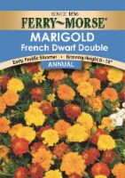 Ferry-Morse® French Dwarf Double Marigold Flower Seeds Perspective: Main