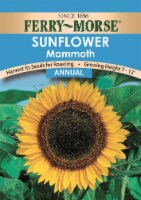 Ferry-Morse® Mammoth Sunflower Seeds Perspective: Main