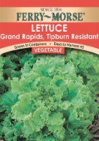 Ferry-Morse® Grand Rapids Lettuce Seeds Perspective: Main