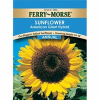 Ferry-Morse® Sunflower American Hybrid - Annual