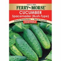 Ferry-Morse® Spacemaster Bush-Type Cucumber Perspective: Main