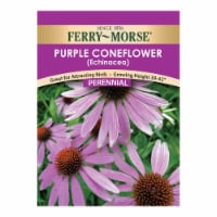 Ferry-Morse Echinacea Purple Coneflower Perspective: Main