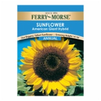 Ferry-Morse® American Giant Hybrid Sunflower Seed Packet Perspective: Main
