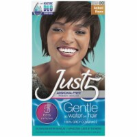 Just5® J-20 Darkest Brown Ammonia-Free Permanent Haircolor