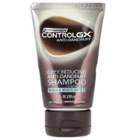 Men Control GX Grey Reducing Anti-Dandruff Shampoo with Zinc Treatment, 4 Fl Oz - Pack of 1