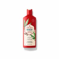 Old Spice Refresh 2in1 Shampoo and Conditioner