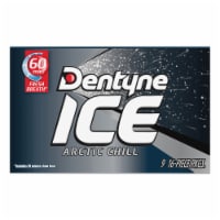DENTYNE ICE GUM ARCTIC CHILL SUGAR FREE9X16.000 PC Perspective: Main