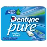 Dentyne Pure Sugar-Free Mint Gum Perspective: Main