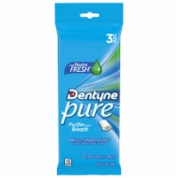 Dentyne Pure Mint with Herbal Accents Sugar Free Gum Perspective: Main