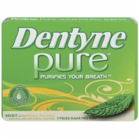 Dentyne Pure Mint with Melon Accents Sugar-Free Gum Perspective: Main