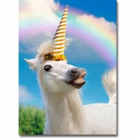 Avanti Uni-Horse Funny / Humorous Birthday Card Perspective: Main