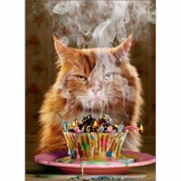 Avanti Birthday Cupcake Funny / Humorous Birthday Card Perspective: Main
