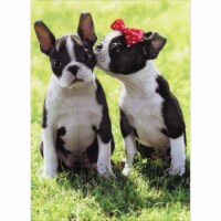 Avanti Kissing Boxers Dog Valentine's Day Card Perspective: Main