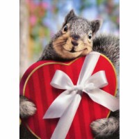 Avanti Squirrel Holds Heart Box Stand Out Pop-Up Funny / Humorous Valentine's Day Card Perspective: Main