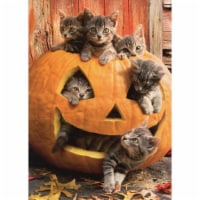 Avanti Kittens In Jack O Lantern Cat Halloween Card Perspective: Main