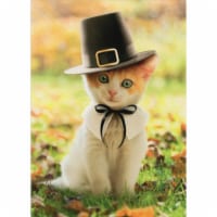 Avanti Pilgrim Cat Kitten Thanksgiving Card Perspective: Main