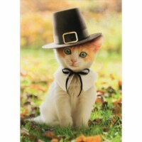Avanti Pilgrim Cat Kitten Thanksgiving Card Perspective: Main