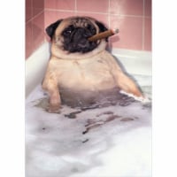 Avanti Pug Takes Bubble Bath Funny Dog Father's Day Card Perspective: Main