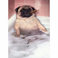 Avanti Pug Takes Bubble Bath Funny Dog Father's Day Card Perspective: Main