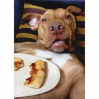 Avanti Dog Pizza Plate Funny Birthday Card Perspective: Main