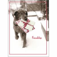 Avanti Dog Carrying Present In Snow Funny / Humorous Black Lab Christmas Card Perspective: Main