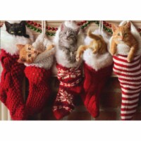 Avanti Kittens In Christmas Stocking Cat Christmas Card Perspective: Main