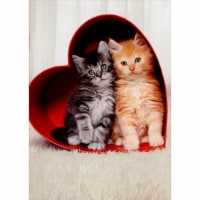 Avanti Two Kittens In Heart Box Cat Valentine's Day Card Perspective: Main