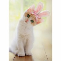 Avanti Kitten With Bunny Ears Cat Easter Card Perspective: Main