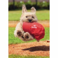 Avanti White Dog Running With Cap Puppy Father's Day Card Perspective: Main