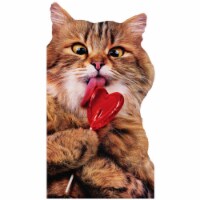 Avanti Cat With Heart Lollipop Little Big Funny Die Cut Valentine's Day Card Perspective: Main