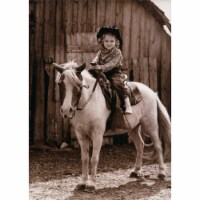 Avanti Press Greeting Card Little Girl On Horse Perspective: Main