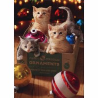Avanti Kittens Playing in Box of Ornaments Cute Cat Christmas Card Perspective: Main